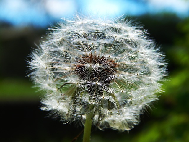 We offer a variety of Hypnosis Treatments.